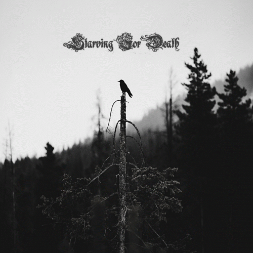 An Unkindness of Ravens